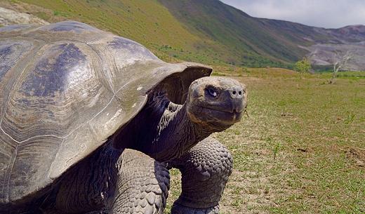 29 nWave Galapagos Still