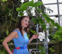 Výstava orchidejí ve skleníku Fata Morgana.