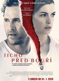 Ticho před bouř&iacute;