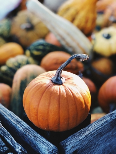 Žlut&eacute; l&aacute;zně oslav&iacute; magick&yacute; Halloween a připomenou česk&eacute; Du&scaron;ičky