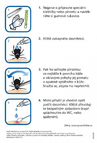 Kl&iacute;&scaron;ťov&aacute; encefalitida a lymesk&aacute; borreli&oacute;za: co byste měli vědět