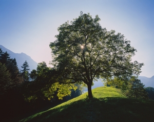 Tip na v&yacute;let: Bregenzerwald