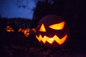 Kam vyrazit na Halloween a dlab&aacute;n&iacute; d&yacute;n&iacute;? Určitě do trojsk&eacute; botanick&eacute; zahrady