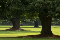 Vyhrajte pobyt v Residenci Golf