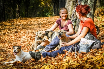 Nov&yacute; Carnilove &ndash; Ke kořenům psa