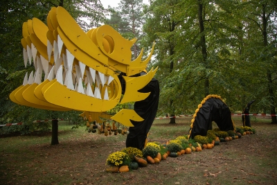 D&yacute;ňov&aacute; přehl&iacute;dka v botanick&eacute; zahradě vrchol&iacute;. O v&iacute;kendu se budou dlabat d&yacute;ně a na Halloween se chyst&aacute; lampionov&yacute; průvod