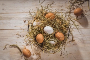 Kvalitn&iacute; sn&iacute;daně? Zn&aacute;me recept!