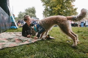 Tr&eacute;nujte psa modern&iacute;m způsobem