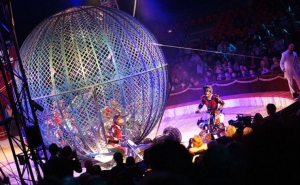 Cirkus Cirkus Festival 2025: Nejlep&scaron;&iacute; artist&eacute; světa se vrac&iacute; do Prahy! A ž&aacute;dn&eacute; t&yacute;r&aacute;n&iacute; zv&iacute;řat