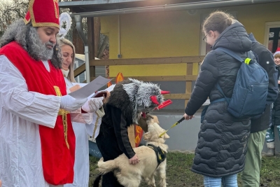 Mikul&aacute;&scaron;sk&aacute; pro v&scaron;echny hodn&eacute; (i zlobiv&eacute;) pejsky: Přijďte si už&iacute;t ps&iacute; čertoviny!