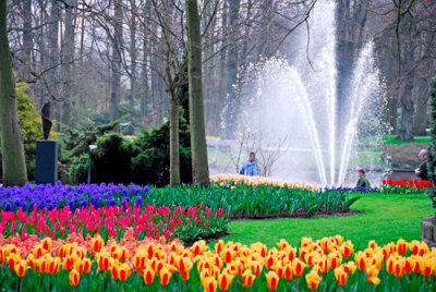 Tip na v&yacute;let: Keukenhof, největ&scaron;&iacute; květinov&yacute; park na světě