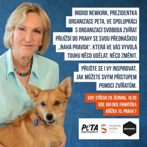 Pozvánka na přednášku prezidentky PETA v Praze