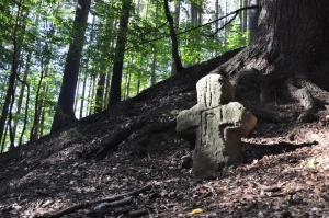 Putov&aacute;n&iacute; za kamenn&yacute;mi kř&iacute;ži Česk&eacute;ho r&aacute;je a Podkrkono&scaron;&iacute;