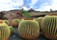 Lanzarote: Ostrov věčn&eacute;ho jara a golfov&eacute;ho r&aacute;je