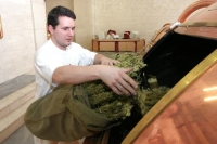 Budějovick&yacute; Budvar použ&iacute;v&aacute; Chr&aacute;něn&aacute; zeměpisn&aacute; označen&iacute; již 11 let