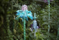Botanick&aacute; zahrada Praha zah&aacute;jila Tropick&yacute; rok 2024 a v&yacute;stavu NOV&Aacute; PET TROPICANA