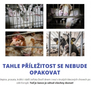 Konec doby klecov&eacute; - V&aacute;&scaron; hlas st&aacute;le chyb&iacute;