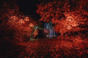 Únor v Lumina Parku – Pololetní prázdniny i Valentýn za svitu tisíců světýlek