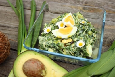 Recepty z medvěd&iacute;ho česneku