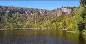 Tip na v&yacute;let: Ple&scaron;n&eacute; jezero na &Scaron;umavě